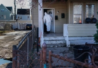 2020 A GLOBAL PANDEMIC: COVID-19 PICTURE STORY