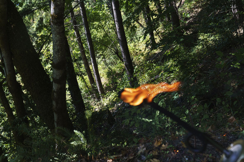 2nd Place – David Goldman – Associated Press – Good Fire 2nd Place – David Goldman – Associated Press – Good Fire