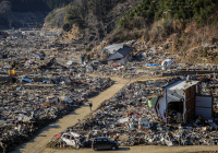 2021 FEATURE PICTURE STORY