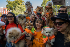 The group ‘Pom State of Mind’ with their Pomeranian dogs who are dressed as the ‘Pumpkin Patch’ take part in the annual Tompkins Square Park Halloween Dog Parade. Manhattan, New York. 22 October 2022.