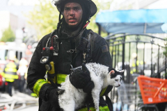 A firefighter from Tower Ladder 124 carries Crystal the cat away from the scene of a four alarm fire at 1100 Halsey Street in Bushwick, Brooklyn on Septemper, 13,2022.