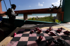 Conch Overfishing