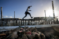 Conch Overfishing
