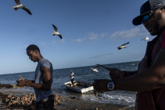 Conch Overfishing