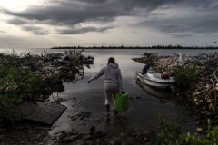 Conch Overfishing