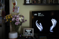 Alzheimer's : The fight to live and die with dignity