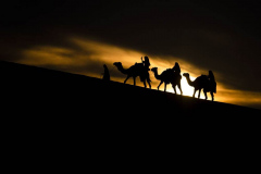 Tourists ride camels near Sealine Beach in Mesaieed, Qatar, during the World Cup soccer tournament, Tuesday, Nov. 29, 2022.