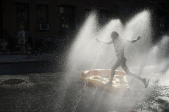 New York Summer