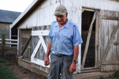 Egg Farmer