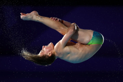 Platform Dive