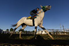 Jockey School 005