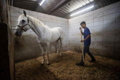 Jockey School 010