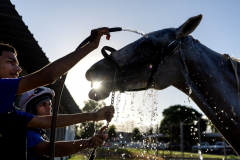 Jockey School 011