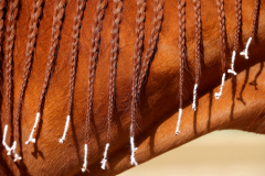 Jun 10, 2023; Elmont, New York, USA; Detail of an outrider's braided mane before the 155th running of the Belmont Stakes at Belmont Park.