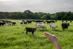 Regenerative Rancher