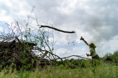 Regenerative Rancher
