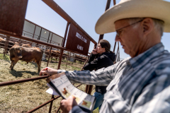 Regenerative Rancher