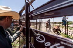 Texas Beef Culture