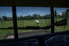 Texas Beef Culture