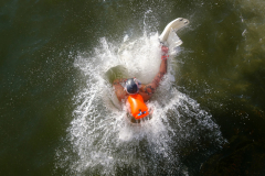 JERSEY CITY, NJ USA - AUGUST 19, 2023 -  A person lands in the Hudson River to start their swim.