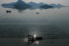 For centuries, seaweed has been treasured in kitchens in Asia and neglected almost everywhere else. Today, seaweed is suddenly a hot global commodity. It’s attracting new money and new purpose in all kinds of new places because of its potential to help tame some of the hazards of the modern age, not least climate change. In London, a start-up is making a plastic substitute out of seaweed. In Australia and Hawaii, others are racing to grow seaweed that, when fed to livestock, can cut methane from cow burps. Researchers are studying just how much carbon dioxide can be sequestered by seaweed farms, as investors eye them as a new source of carbon credits for polluters to offset their greenhouse gas emissions. And in South Korea, one of the most established seaweed growing countries in the world, farmers are struggling to keep up with growing export demand. But even as its champions see it as a miracle crop for a hotter planet, others worry that the zeal to farm the ocean could replicate some of the same damages of farming on land. Much is unknown about how seaweed farms, particularly those far offshore, can affect marine ecosystems.

Seaweed is having its moment in the sun. It's being reimagined as a plastic substitute, even as cattle feed. But can seaweed thrive in a warming world?

Seaweed farmers harvesting their crop on the sea near Geumdang Island in Wando-gun, South Jeolla Province, South Korea on Mar. 24th, 2022. What used to be mainly a relatively small Asian industry is now coveted by the West. Far beyond South Korea, new farms have cropped up in Maine, the Faroe Islands, Australia, even the North Sea. Globally, seaweed production has grown by nearly 75 percent in the past decade. [Story first published March 16, 2023]