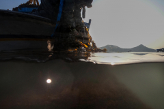 Kim Nam-hoon, a seaweed (Undaria, called ‘Miyeok’ in Korea) farmer harvesting Miyeok (under the sea) in the sea near Geumdang Island in Wando-gun, South Jeolla Province, South Korea, on March 24th, 2022.[Story first published March 16, 2023]