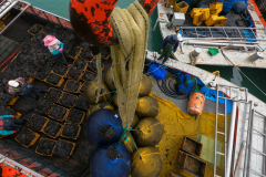 After harvested seaweed has been auctioned, workers pack it up on Soan Island in Wando-gun, South Jeolla Province, South Korea on Mar. 25th, 2022. “Seaweed protagonists believe seaweed is a cure to everything, that seaweed is a magical panacea for climate problems,” said David Koweek, chief scientist for Ocean Visions, a consortium of research organizations studying ocean-based interventions for the climate crisis. “Seaweed antagonists think seaweed is completely overhyped.”
[Story first published March 16, 2023]