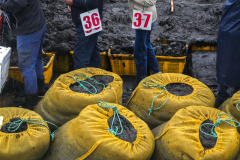 Farmers bring their seaweed harvests to be auctioned at Soan Island in Wando-gun, South Jeolla Province, South Korea on April 21st, 2022. [Story first published March 16, 2023]