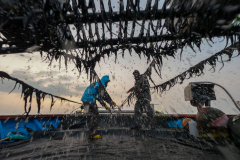 Workers harvested Seaweed near Soan Island in Wando-gun, South Jeolla Province, South Korea on Mar. 25th, 2022. The nets shake and drop the seaweed into the boxes after they were brought up from the sea. [Story first published March 16, 2023]