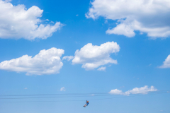 Up in the Sky