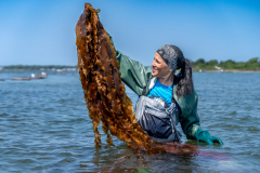 Thanks for the Kelp
