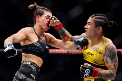 UFC 295: Prochazka v Pereira