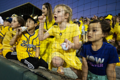 The Savannah Bananas