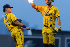 The Savannah Bananas