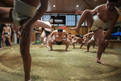 Hakuhō Shō, the Mongolian Yokozuna (champion) in Japanese Sumo Association, is retired and Japanese Sumo players are eyeing to take it back from the Mongolians. However, watch out! There are many foreigners eyeing the Yokozuna as well:
Shō invited players from Mongolia including 3 Mongolian junior players, players from Ukraine, America, Fukushima (from a village near Fukushima which was severely damaged by Tsunami in 2011) to his stable the day before his Hakuhō Cup. He had a session with them to teach them personally.
Hakuhō Cup, a sumo competition for elementary and middle school students held every year in Japan, had competitors from 8 countries including Japan at the Cup.
There are 44 active foreigners currently including 14 Japan-born with non Japanese or foreign ethnicity in the top league of the Japanese Sumo association.

Sumo players who were invited by Hakuhō Shō warmed up before a session with Hakuhō Shō at his Miyagino stable in Tokyo, Japan on Feb. 11th, 2023.