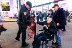 NEW YORK, NY USA - DECEMBER 31, 2024 - WWII Army veteran Dominick Critelli, 103, a Battle of the Bulge veteran, reacts at an excited K9 German Shepherd named Kona, center, is restrained by his handler, Officer Belokopitsky. Kona was eagerly watching fellow K9 German Shepherd Knox, left, amidst the vibrant energy of New Year's Eve in Times Square.