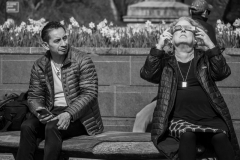 Watching the eclipse.