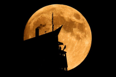 Hunters Moonrise