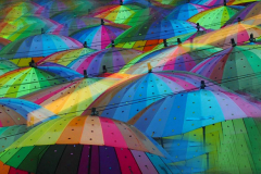 A sea of umbrellas line a street in NYC on August 7, 2024