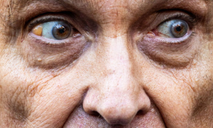 2024 PORTRAIT