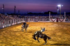 PILESGROVE, NJ USA - AUGUST 24, 2024 -  Cowboy Tim Kent, of Chambers, PA, rides Breezy while competing in Bareback Riding. The Cowtown Rodeo, nestled in Southern New Jersey, proudly holds the title of the oldest weekly rodeo in the United States. From May through October, every Saturday night, the arena comes alive as over five thousand fans gather to witness electrifying competitions featuring professional cowboys from across the country. This beloved event has become the region’s premier social outing, drawing spectators who often travel hours to experience the thrill. Steeped in tradition, the rodeo remains a family affair, now managed by the sixth generation of the Grissom family, who continue to honor its rich heritage while keeping the spirit of the Old West alive.