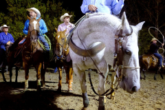 PILESGROVE, NJ USA - AUGUST 31, 2024 -  Cowboys in the Roping competitions wait to enter the area. The Cowtown Rodeo is the oldest weekly rodeo in the country.