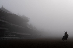 A horse works out ahead of the 156th running of the Belmont Stakes horse race at Saratoga Race Course, Friday, June 7, 2024, in Saratoga Springs, N.Y.