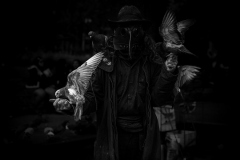 Larry the Birdman holds a group of pigeons in Washington Square Park within New York City, NY on Halloween, Oct. 31, 2025.