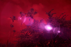 Infrared Eye: Life Under Surveillance