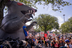 HM: Adam Gray – Independent – The Rise of Zohran Mamdani