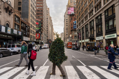 Tommy Liberto, known as Mr. Christmas Tree, crosses Seventh Avenue while visiting New York for the tenth year from Bel Air, Md., Wednesday, Dec. 4, 2024.