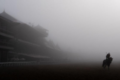 A horses works out ahead of the 156th running of the Belmont Stakes horse race at Saratoga Race Course, Friday, June 7, 2024, in Saratoga Springs, N.Y.