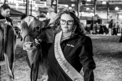 Guernsey Princess