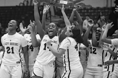 67403 - Entry for Category 12 SPLIFE